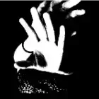 la Cie Craquette à plumes Production | Vivant·e !