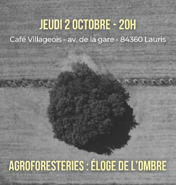 «Agroforesteries : l’éloge de l’ombre»  projection débat | Au Maquis