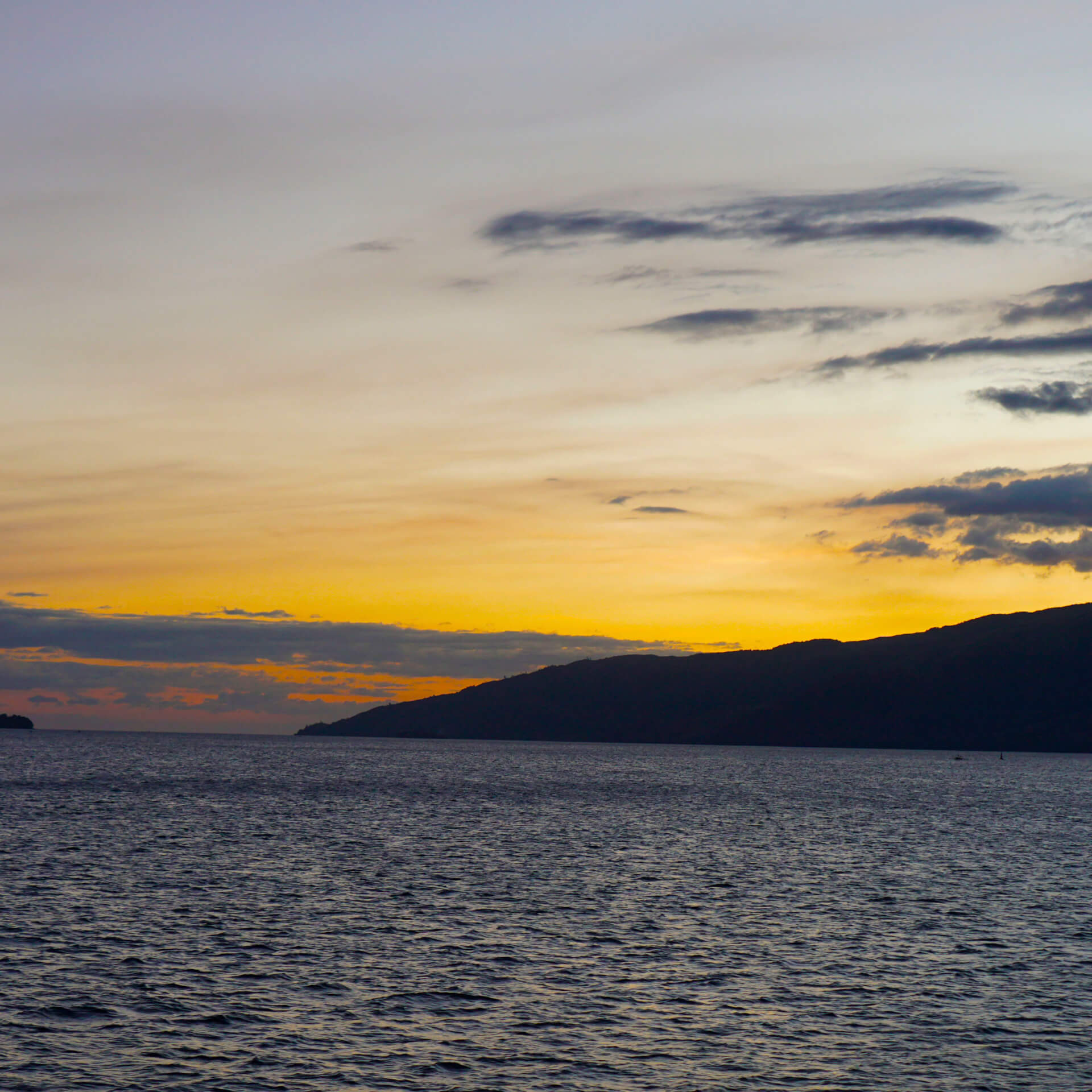 TEMPLATE / Playlist | Star Wax Magazine