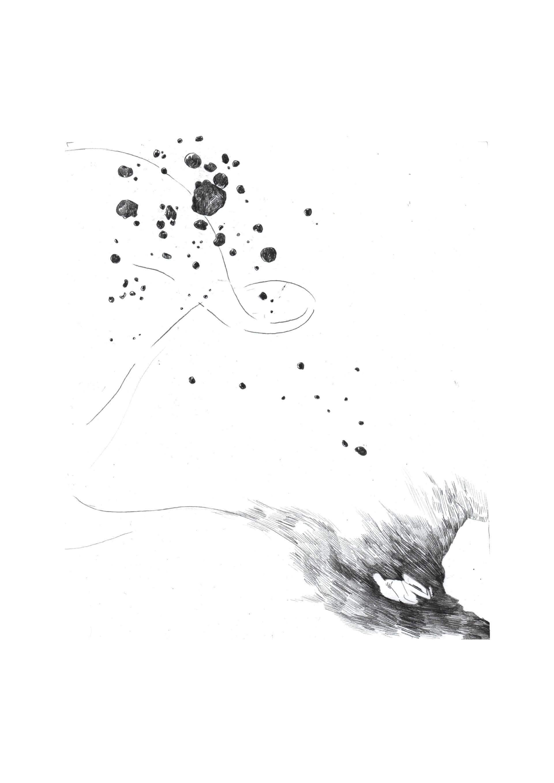 - | Éléonore Scardoni