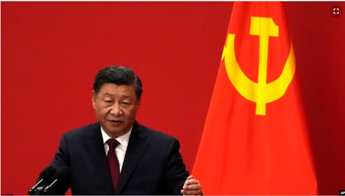 Tập Cận Bình còn phải rất bận rộn với ‘đả hổ, diệt ruồi’ | Vietnam Fraternité