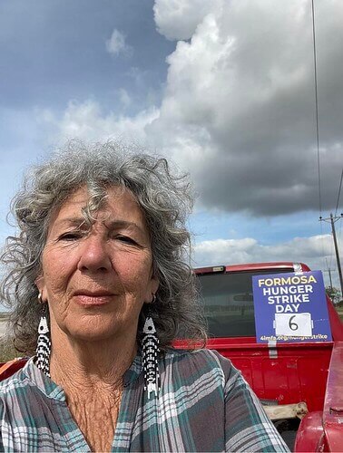 Vụ Formosa Hà Tĩnh : Diane Wilson đòi công lý cho người dân miền Trung | Vietnam Fraternité