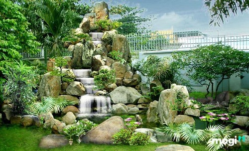 Ăn của rừng, và ai phải rưng rưng nước mắt ? | Vietnam Fraternité