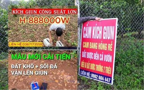 Thấy gì qua chiến dịch thu mua giun đất của Trung Quốc ? | Vietnam Fraternité