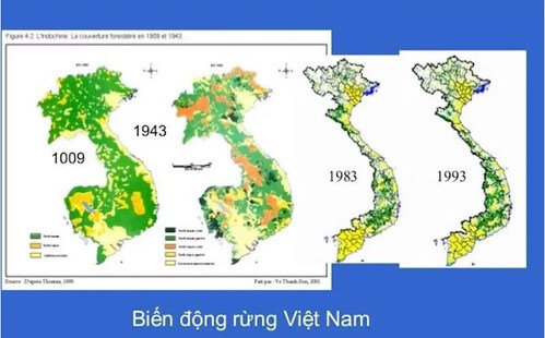 Nạn phá rừng do ta hay do thế lực thù địch gây ra ? | Vietnam Fraternité