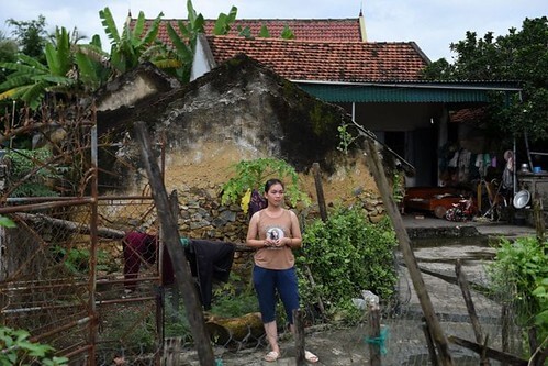 Tấm thiệp từ… quê hương | Vietnam Fraternité