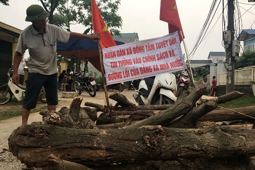 Người Việt so sánh và ‘mơ được biểu tình’ như Mỹ | Vietnam Fraternité