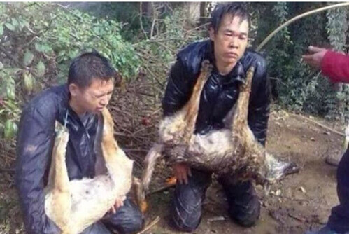 Thực trạng pháp luật Việt Nam : có chẳng ra có, không chẳng ra không | Vietnam Fraternité