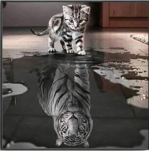 Năm Con Mèo, Việt Nam sẽ bất ổn | Vietnam Fraternité