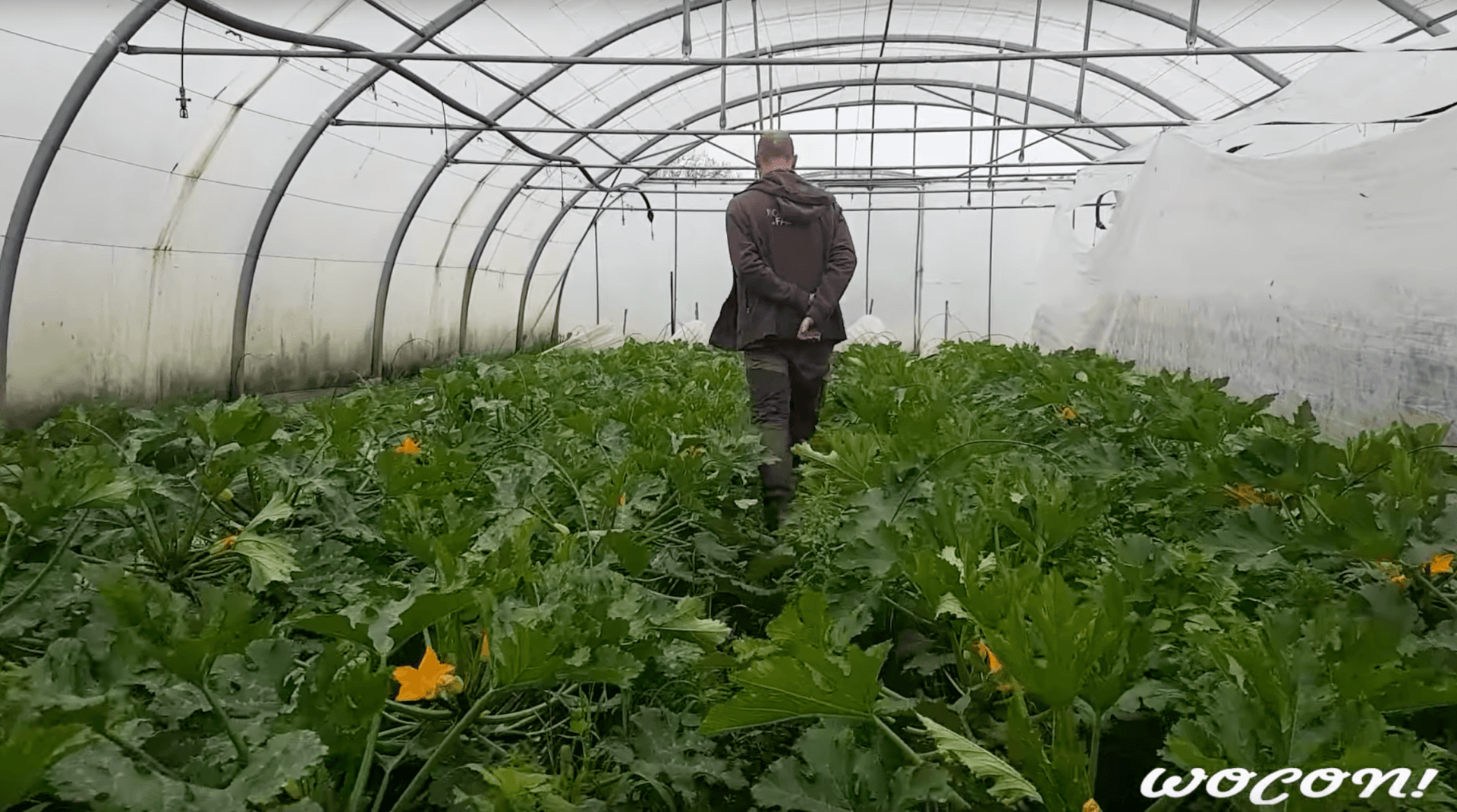 Projection et rencontre avec le collectif Wocon | Vivant·e !