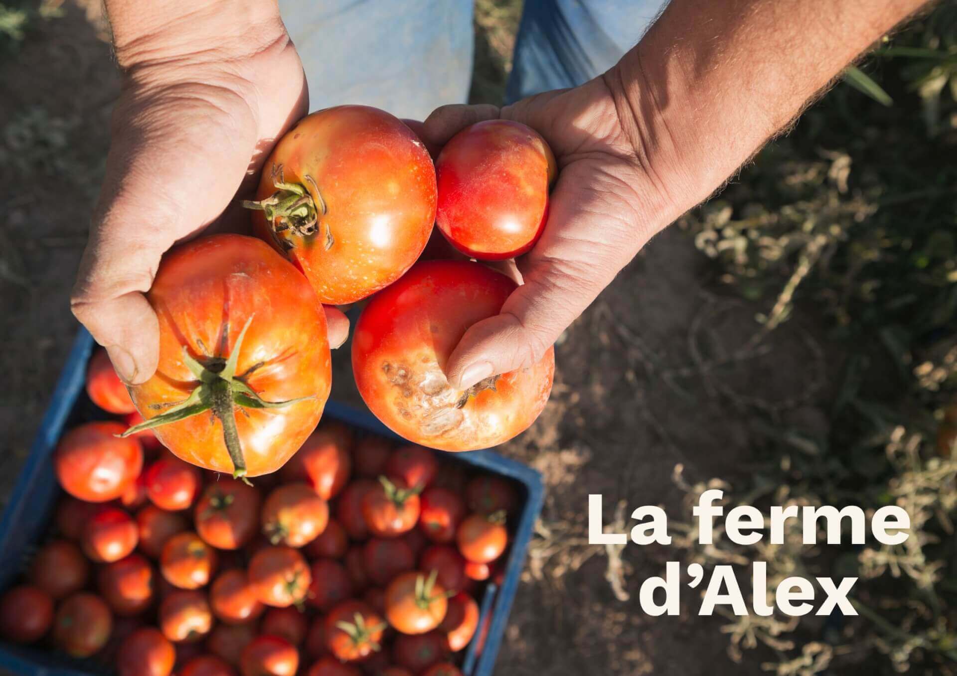 Visite de la ferme d’Axel Galametz | Vivant·e !
