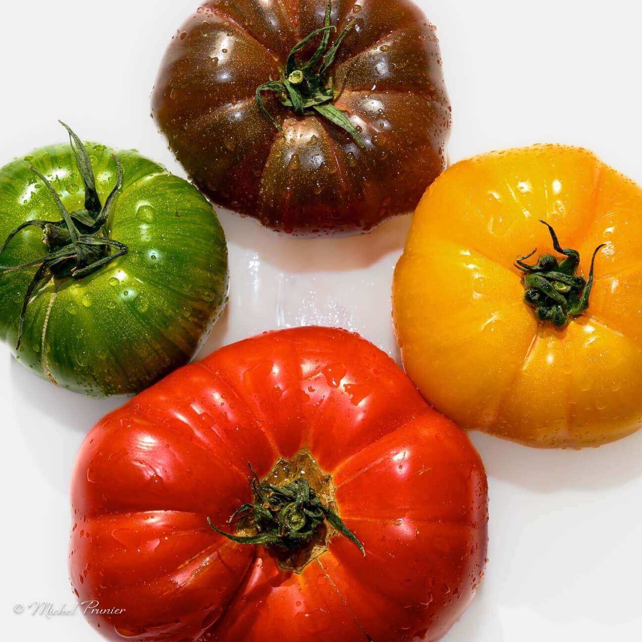 « La tomate, reine du potager » : exposition photo | Vivant·e !