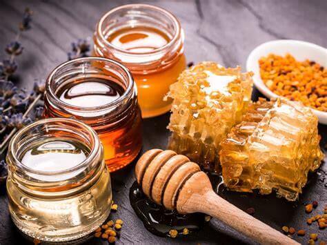 Rencontre avec ceux qui nous nourrissent | Vivant·e !