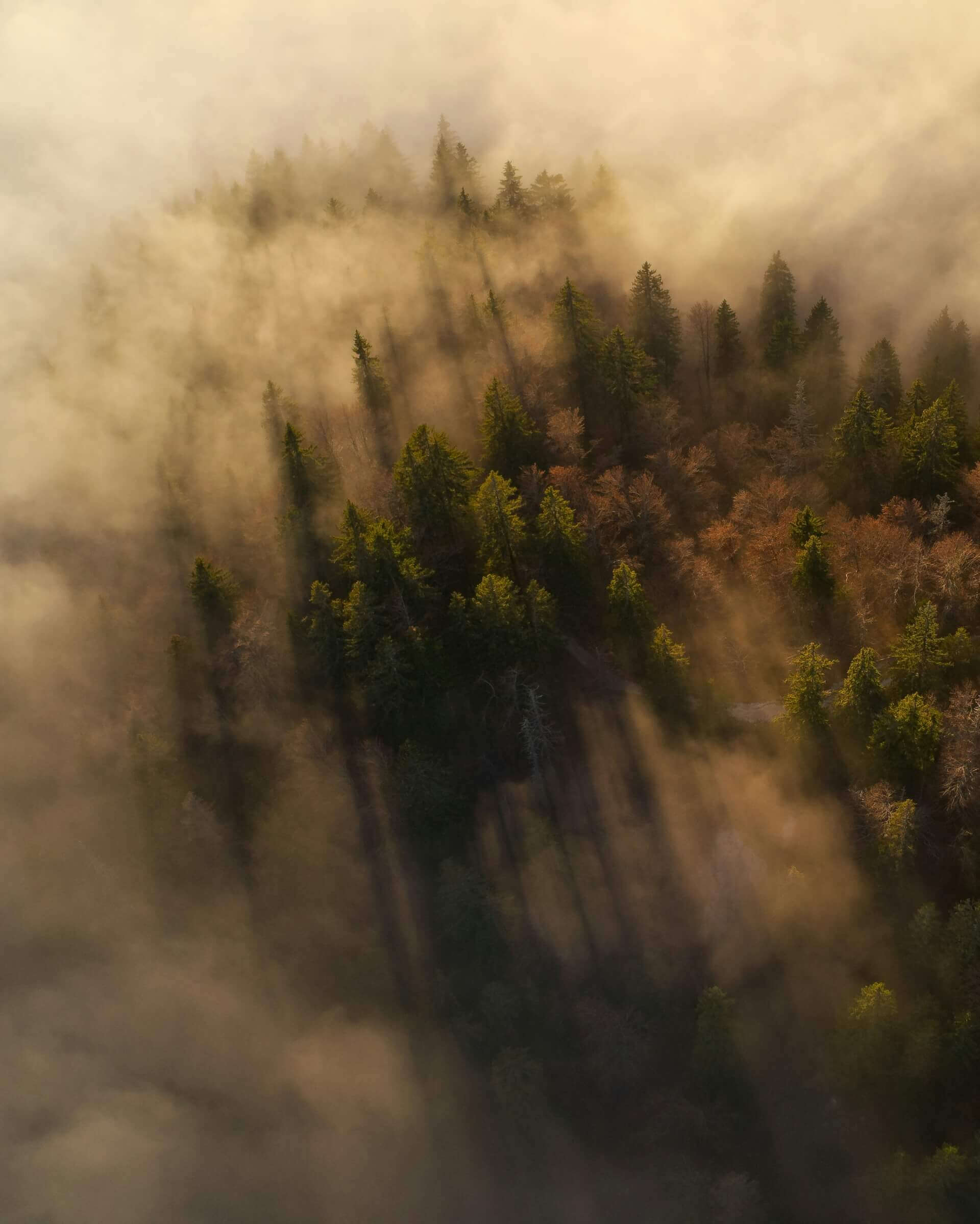 AFKE : Voyager autrement, depuis les steppes kirghizes | What The Web