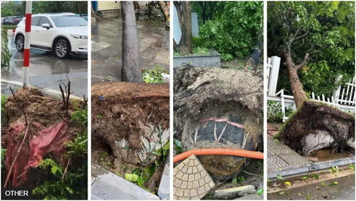 Bão Yagi để lộ tham nhũng và làm ăn tất trách tại Hà Nội | Vietnam Fraternité