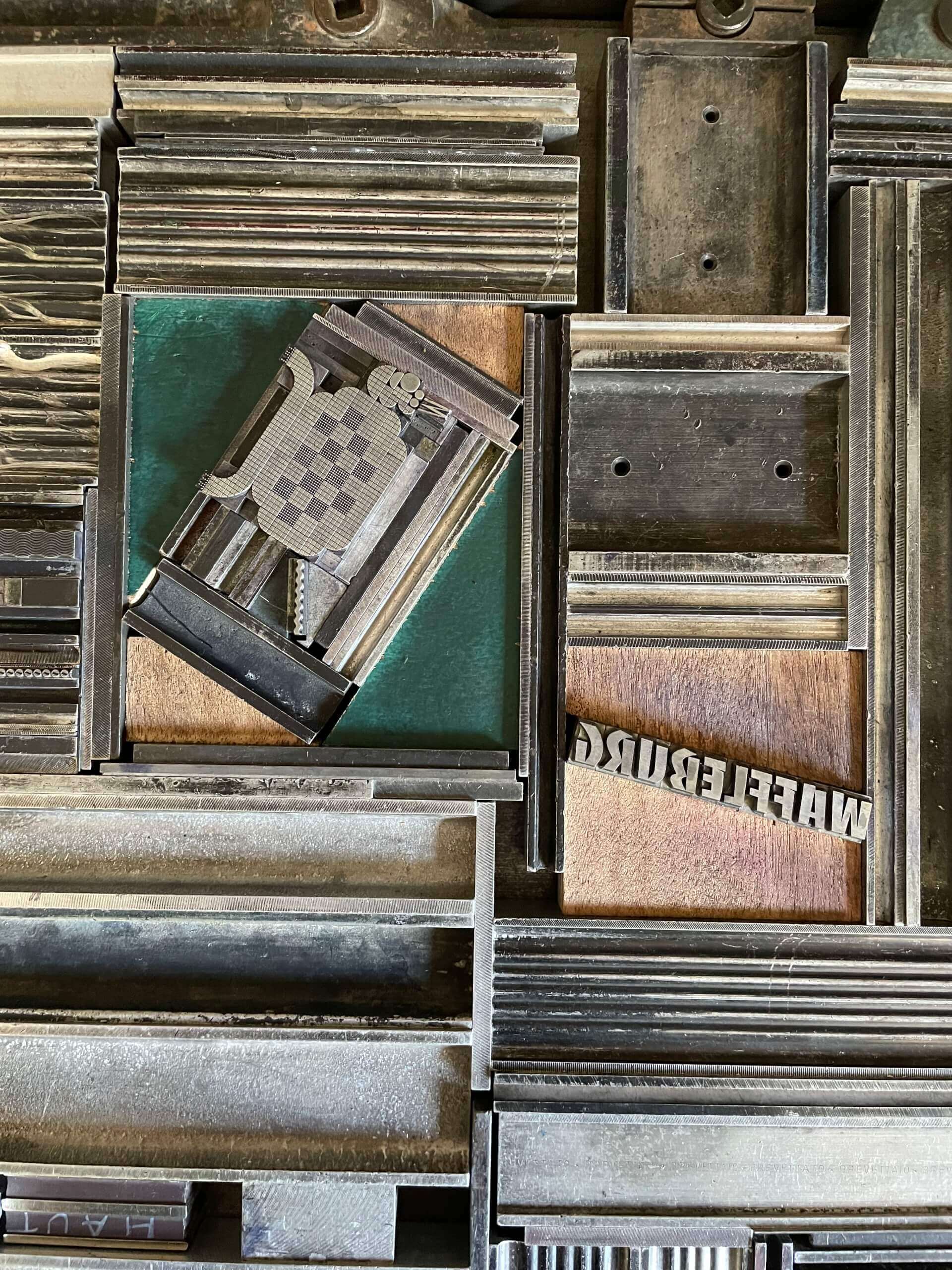 - | Éléonore Scardoni