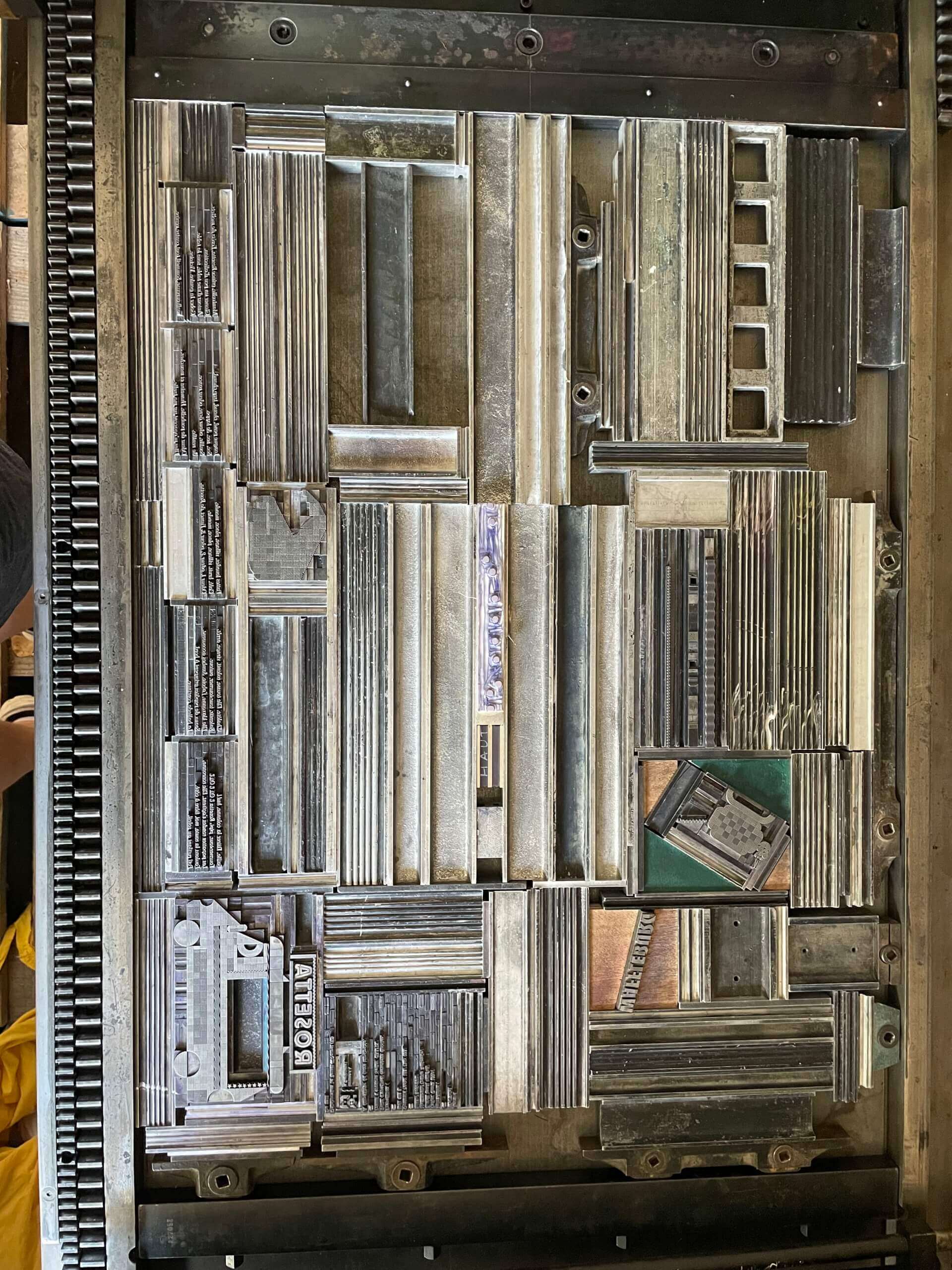 - | Éléonore Scardoni