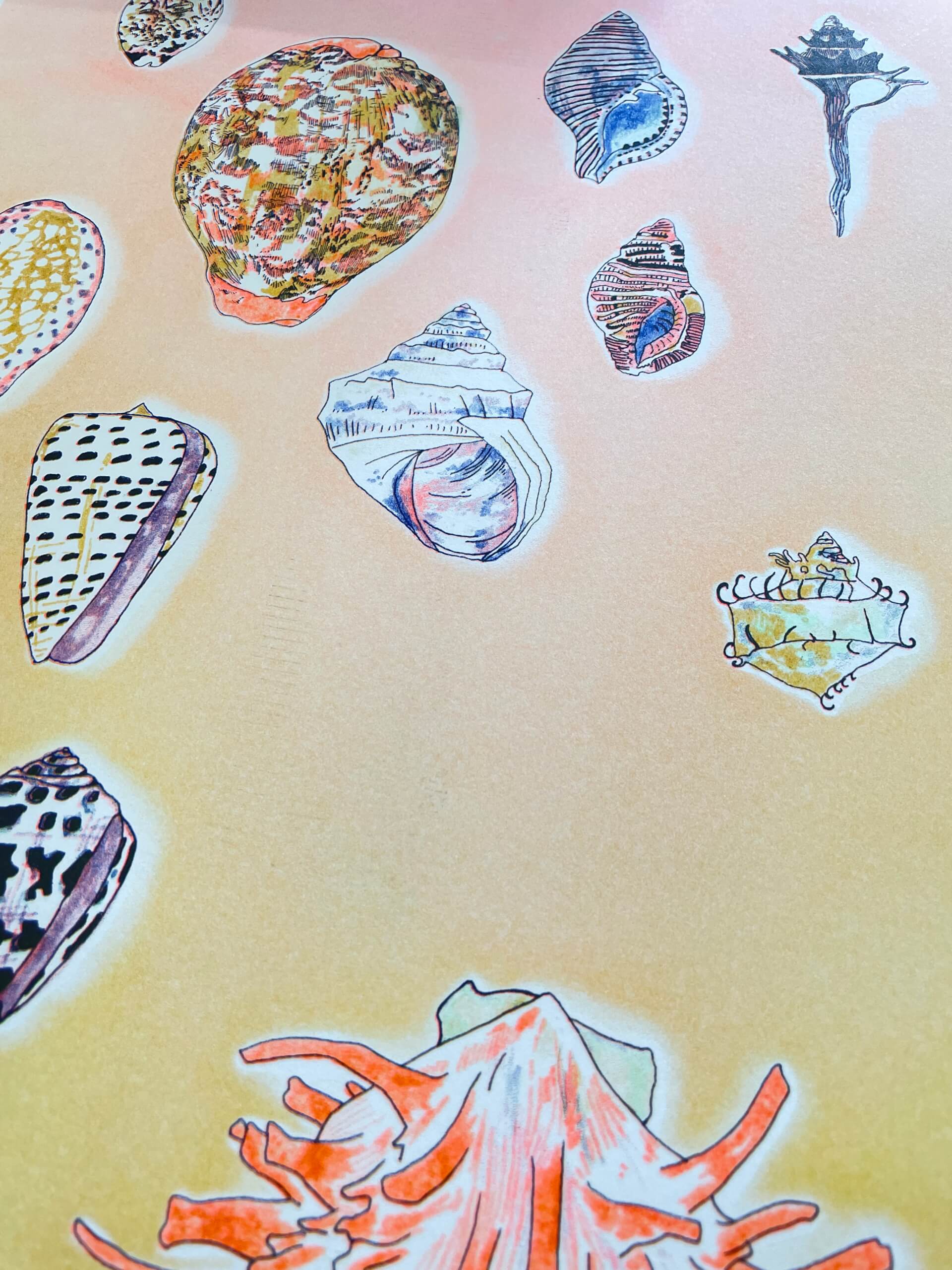 - | Éléonore Scardoni