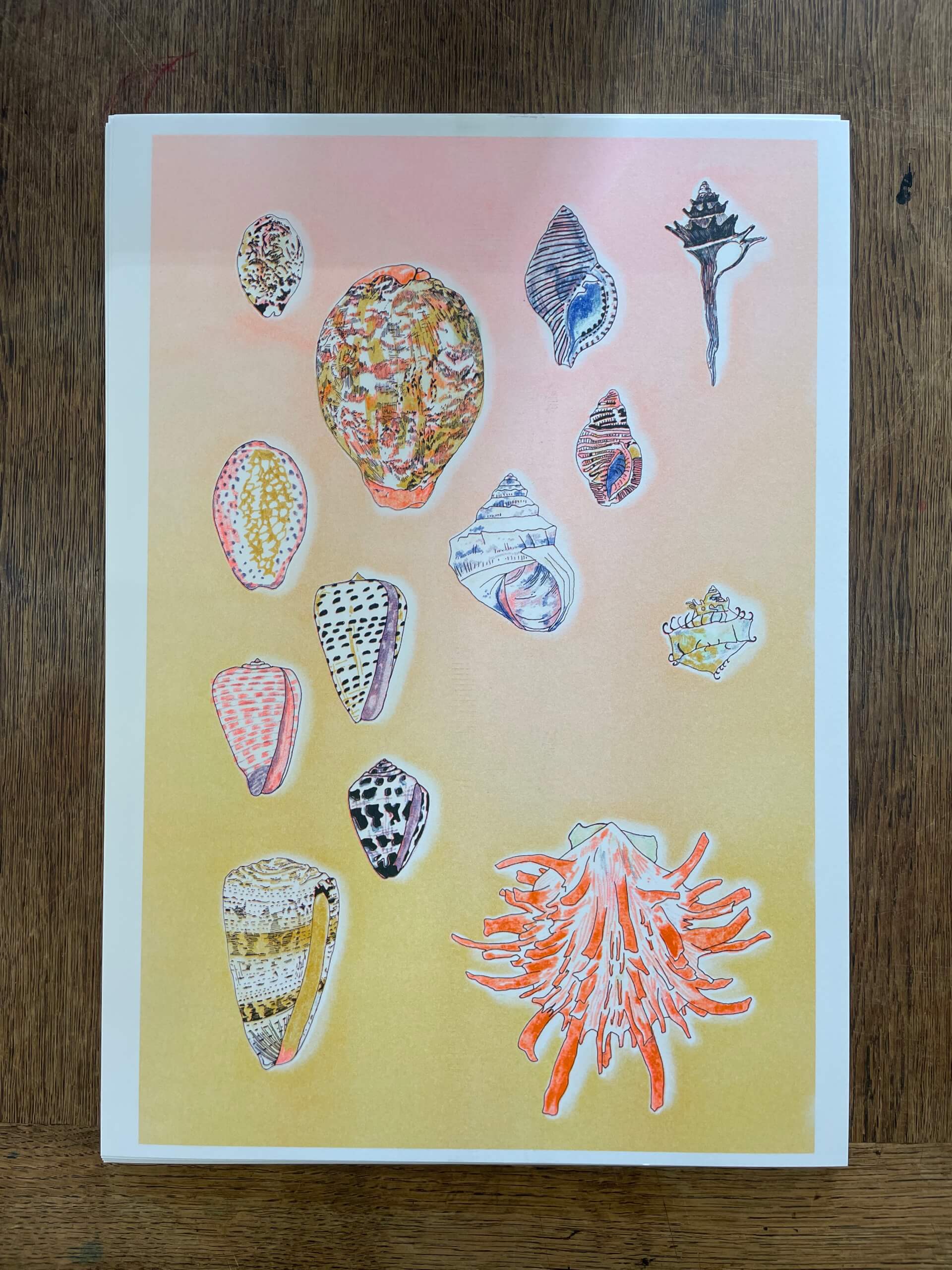 - | Éléonore Scardoni