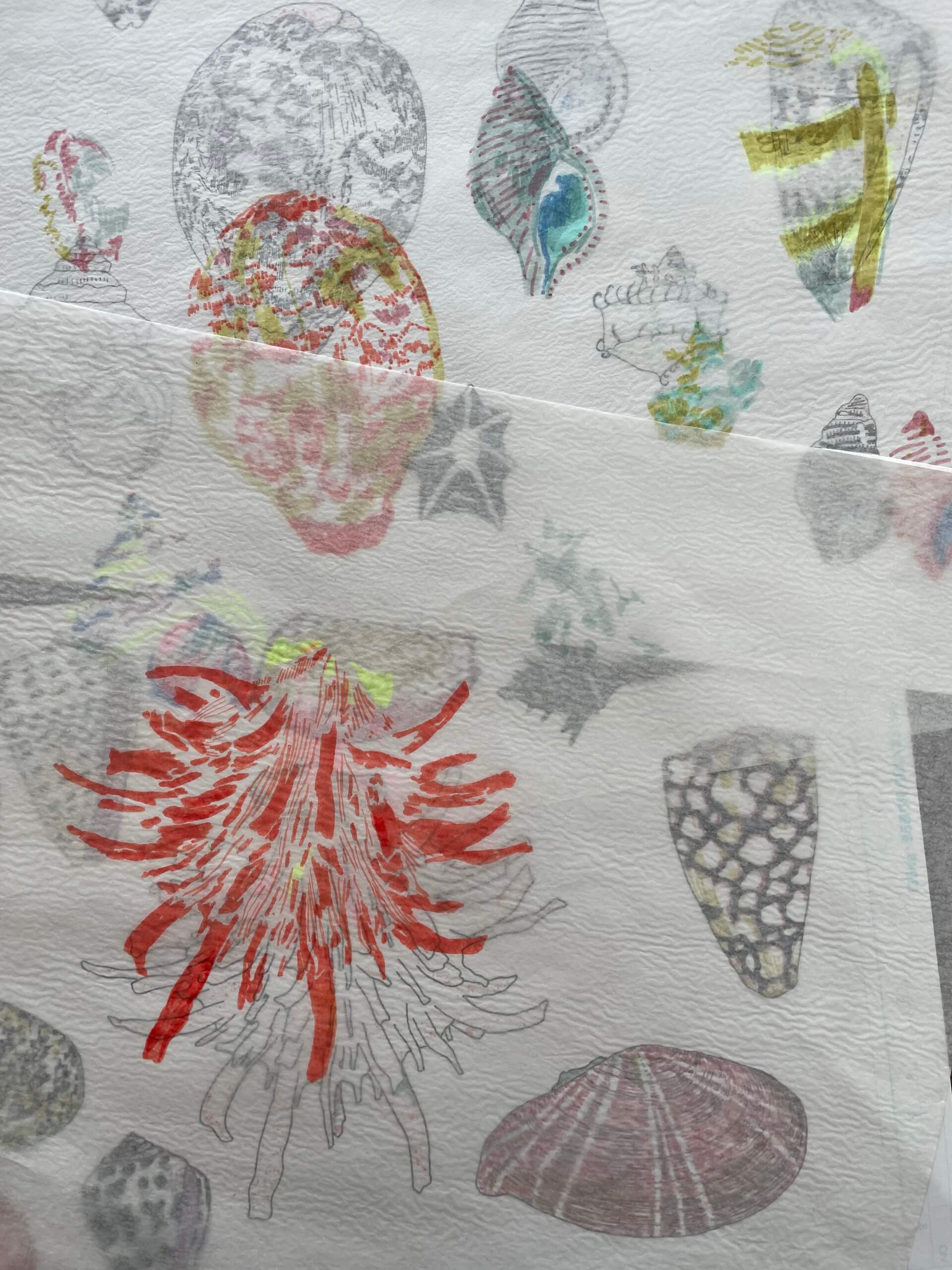 - | Éléonore Scardoni