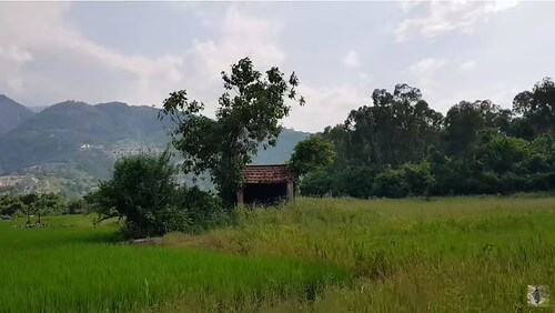 Trời đánh không sai | Vietnam Fraternité