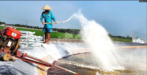 Quy hoạch tổng hợp lưu vực sông Cửu Long | Vietnam Fraternité