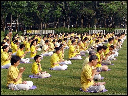 Mùa Xuân Vĩnh Cửu | Vietnam Fraternité