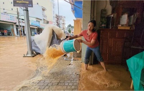 Hậu quả nhãn tiền của sự kém cỏi quản lý Đà Lạt | Vietnam Fraternité