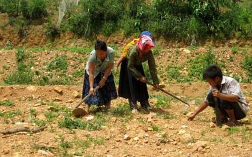 Tăng cường quyền tiếp cận đất đai cho đồng bào dân tộc thiểu số | Vietnam Fraternité