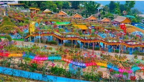 Hình như có gì đó kỳ kỳ… | Vietnam Fraternité