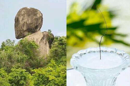 Ở Việt Nam, trí tưởng tượng cũng bị phạt vạ | Vietnam Fraternité