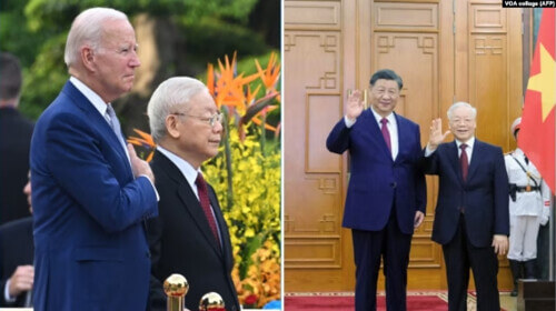 Ngoại giao cây tre của Việt Nam | Vietnam Fraternité