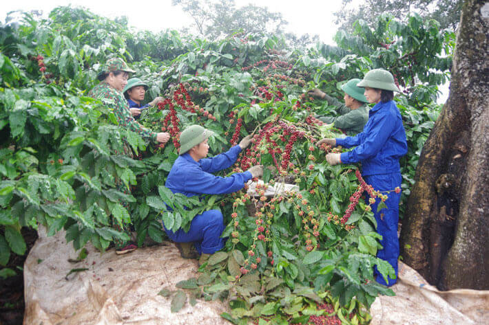 Nhìn lại những chính sách hội nhập cộng đồng người Thượng trên cao nguyên miền Trung - 5 | Vietnam Fraternité