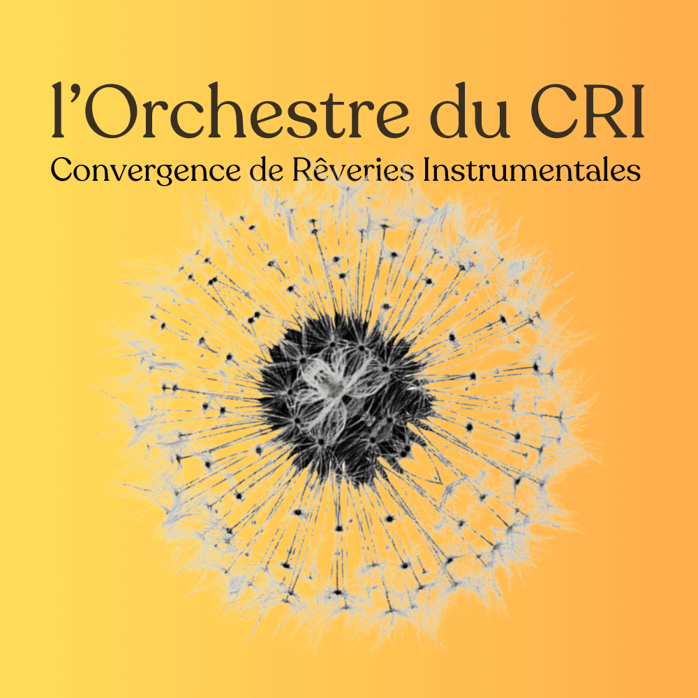 L'ORCHESTRE du CRI | Le Grrizzli