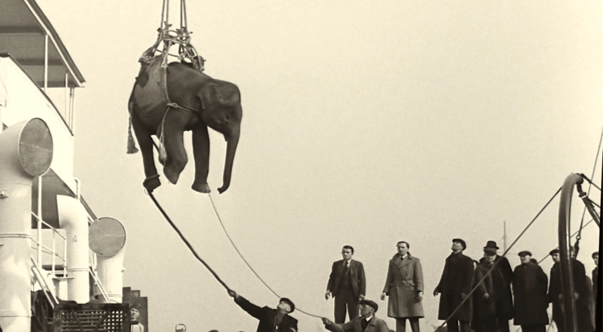 Soundtrack to a Coup d'Etat : Autopsie d'un assassinat politique sous fond de jazz | TACK