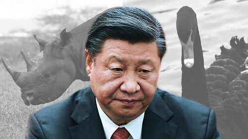 Năm 2020 Việt Nam sẽ gặp khó khăn như Trung Quốc 2019 ? | Vietnam Fraternité