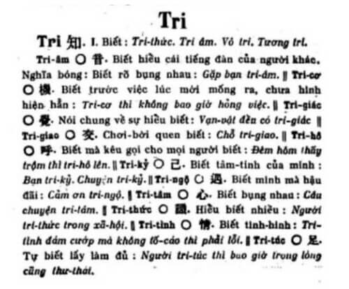 Luận về hai chữ Tri thức và Trí thức | Vietnam Fraternité