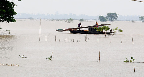 Con cá đồng ngóng mùa nước nổi | Vietnam Fraternité