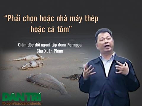 Formosa Hà Tĩnh đang thua lỗ và vẫn... ô nhiễm trầm trọng | Vietnam Fraternité