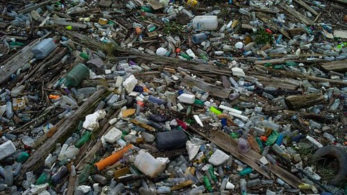 Làm sao chống lại một thế giới tràn ngập rác thải nhựa ? | Vietnam Fraternité