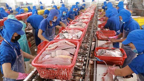 ‘Zero Covid’ : Nguy cơ mất thị trường | Vietnam Fraternité