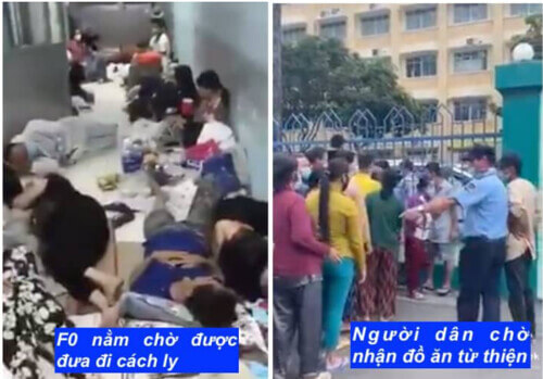 Giữa mùa đại dịch : những chuyện khó tin nhưng có thật | Vietnam Fraternité