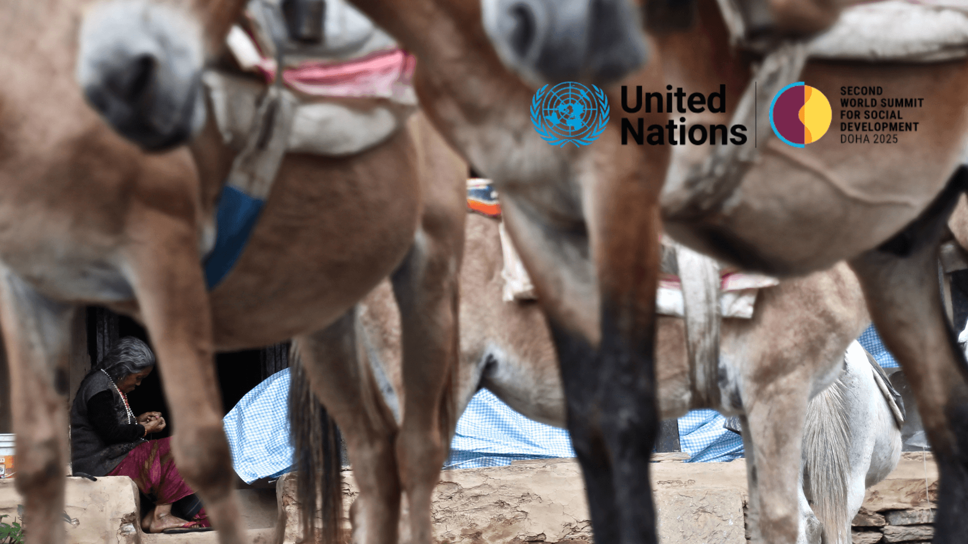 Forus members Coordination call on the Second World Summit for Social Development (WSSD2) | Forus