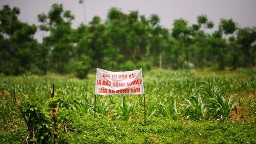Đồng Tâm : "Sự thật" đã được chế biến như thế | Vietnam Fraternité