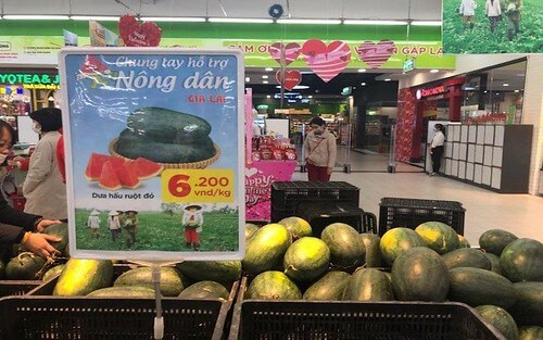 Người Việt thơm thảo | Vietnam Fraternité