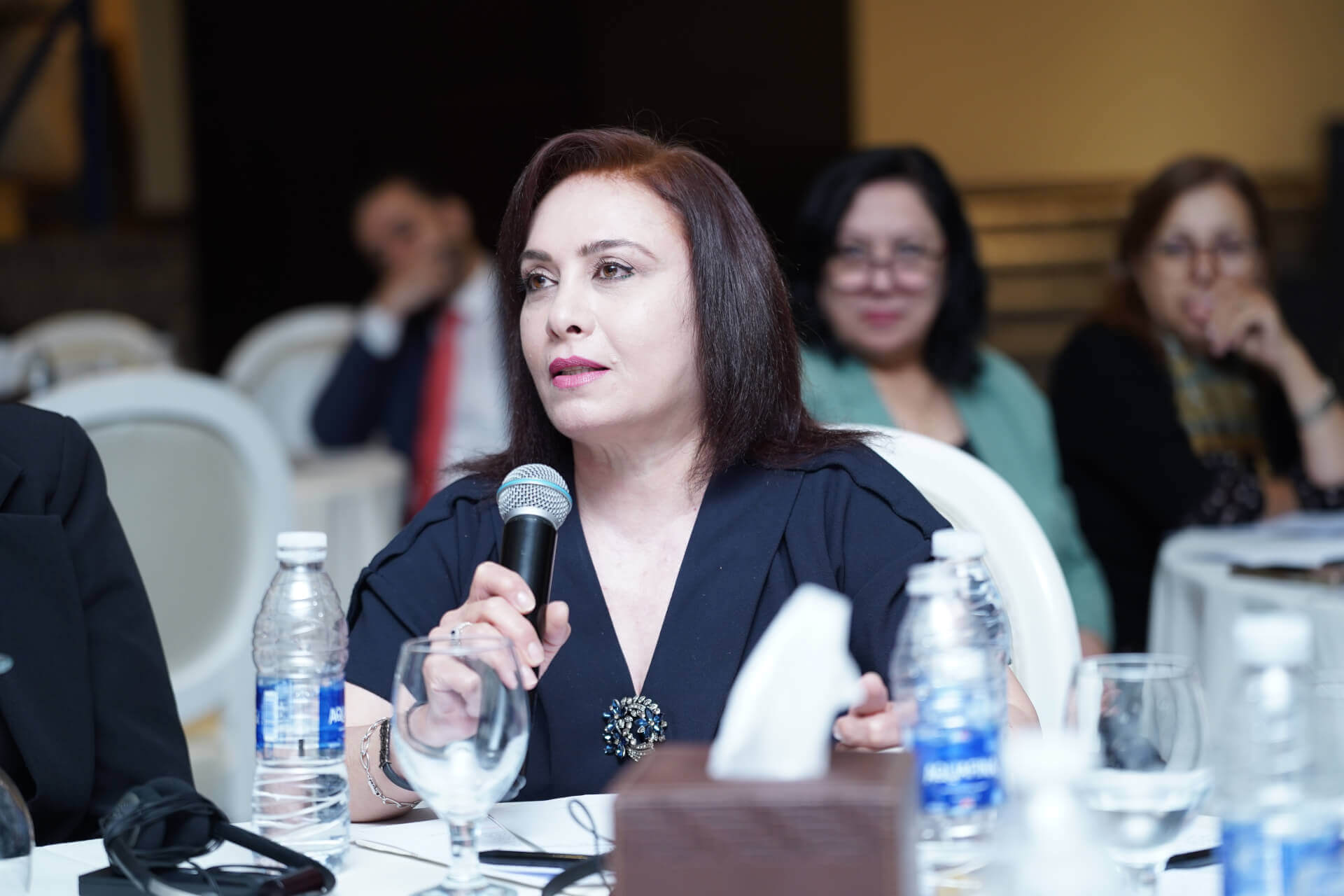 - | EFI - EuroMed Feminist Initiative