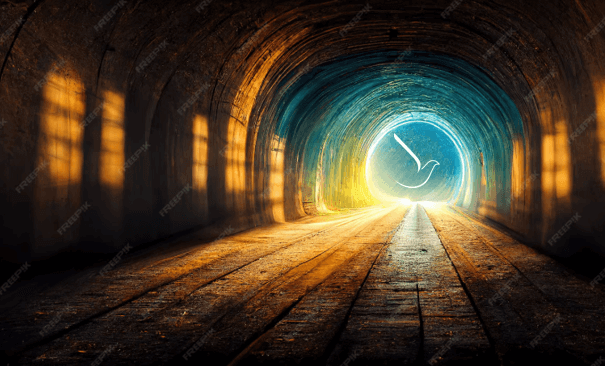 Ánh sáng dân chủ cuối đường hầm | Vietnam Fraternité