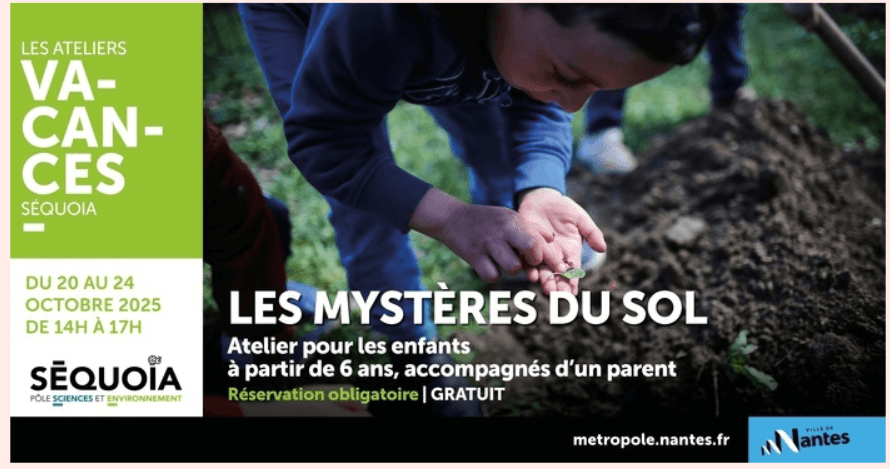 Action ANR Fungisol - Grand public - Les mystères du sol | IICIMED