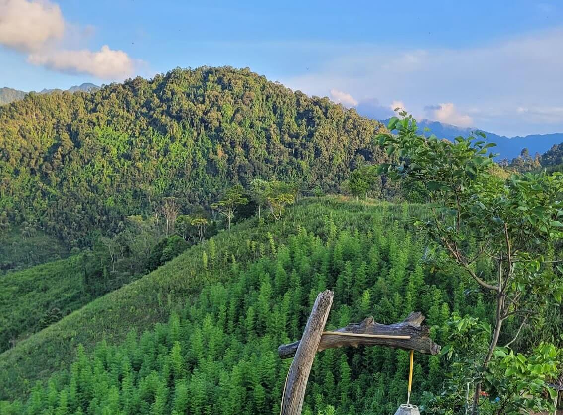 - | Sourires d'Enfants