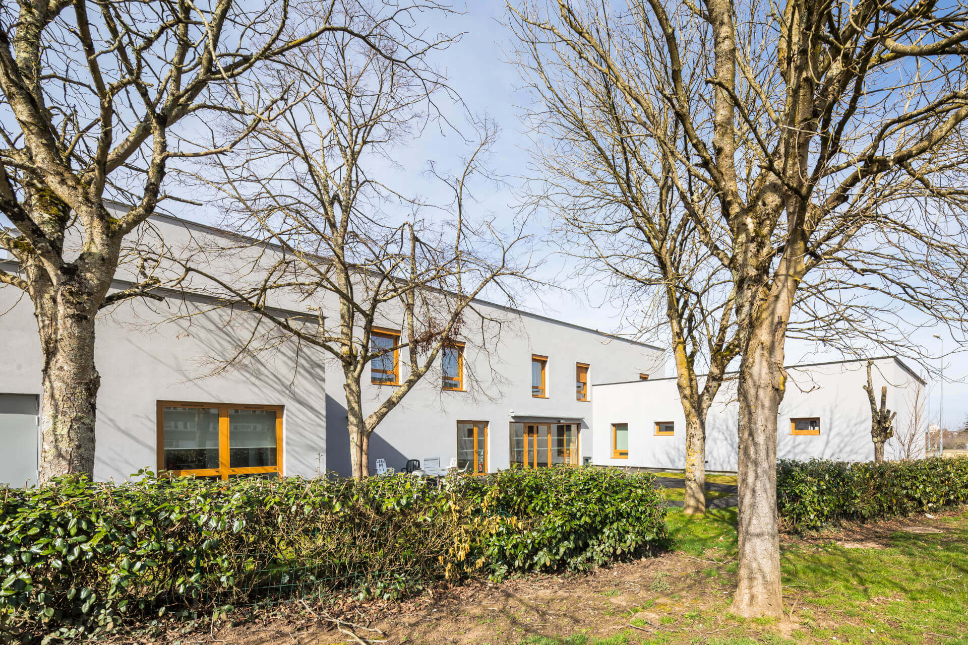 - | BVL Architecture